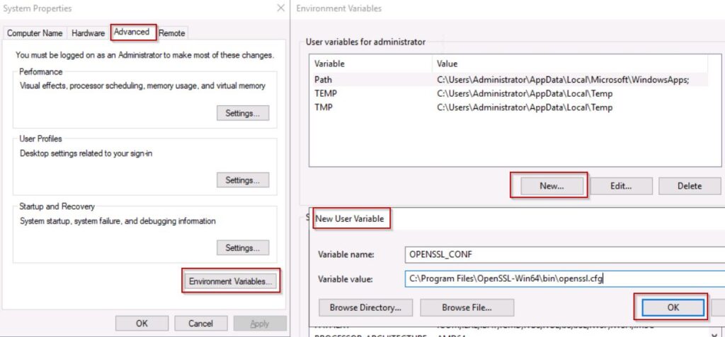 Set Environment variable