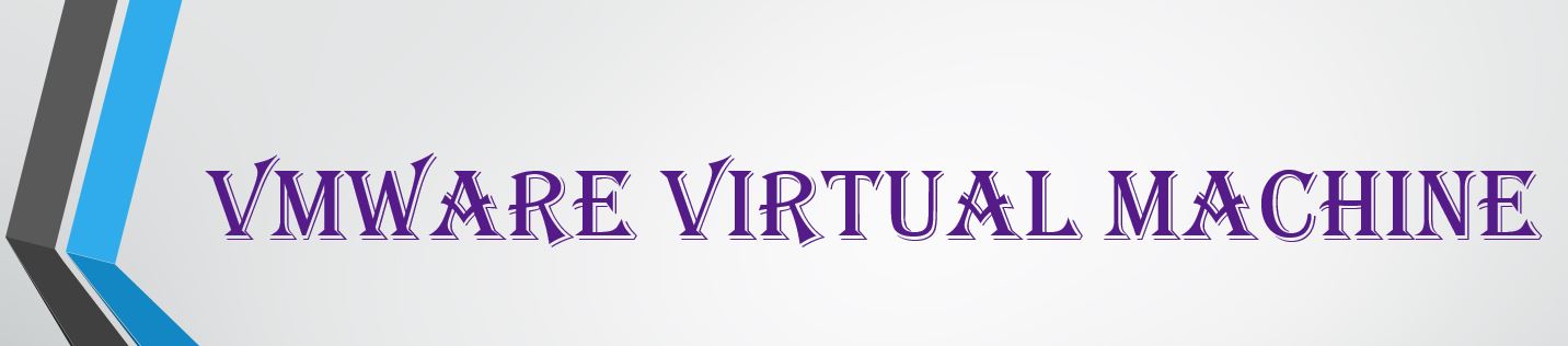 VMware Virtual Machine